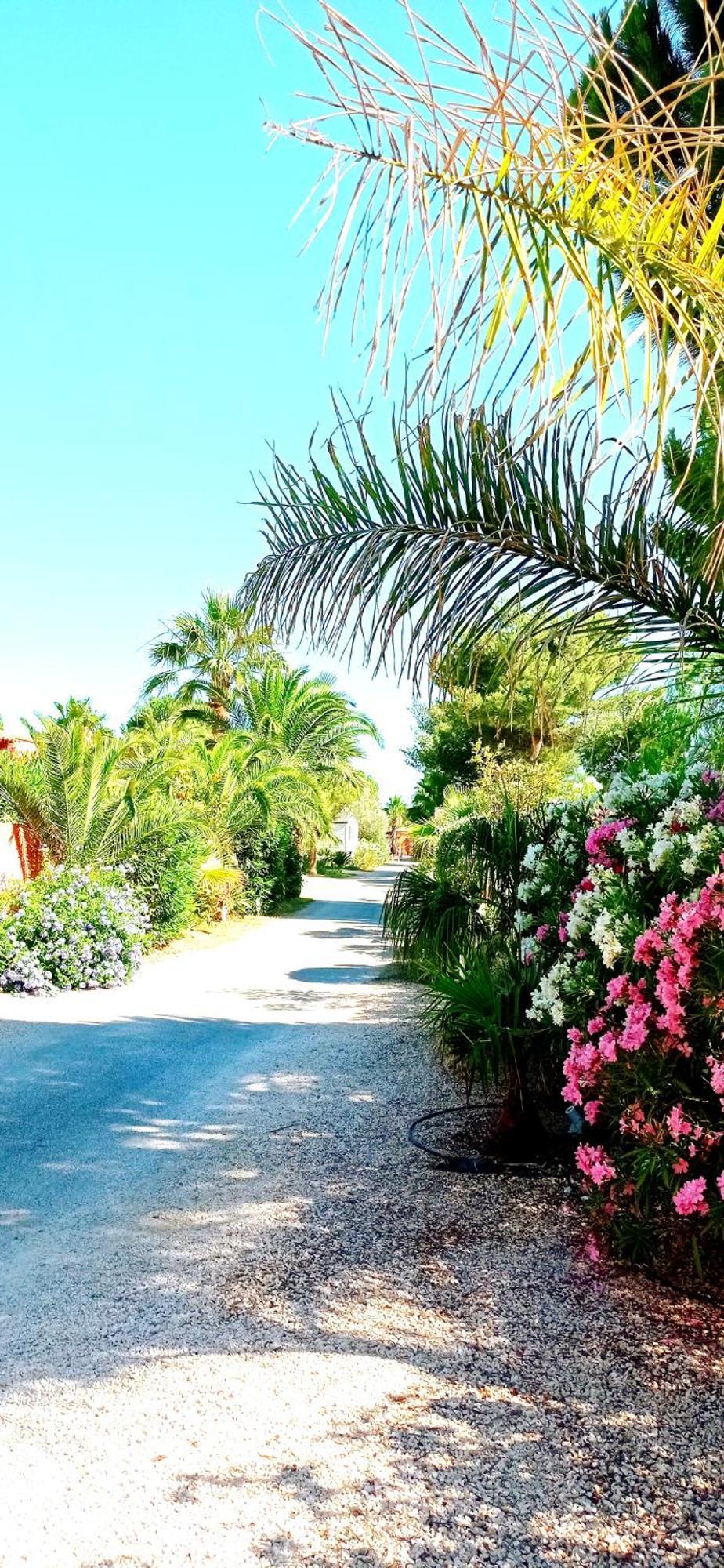 Happymobilhome Argeles-Sur-Mer -Plage A 500M- Camping 4 Etoiles Del Mar Buitenkant foto