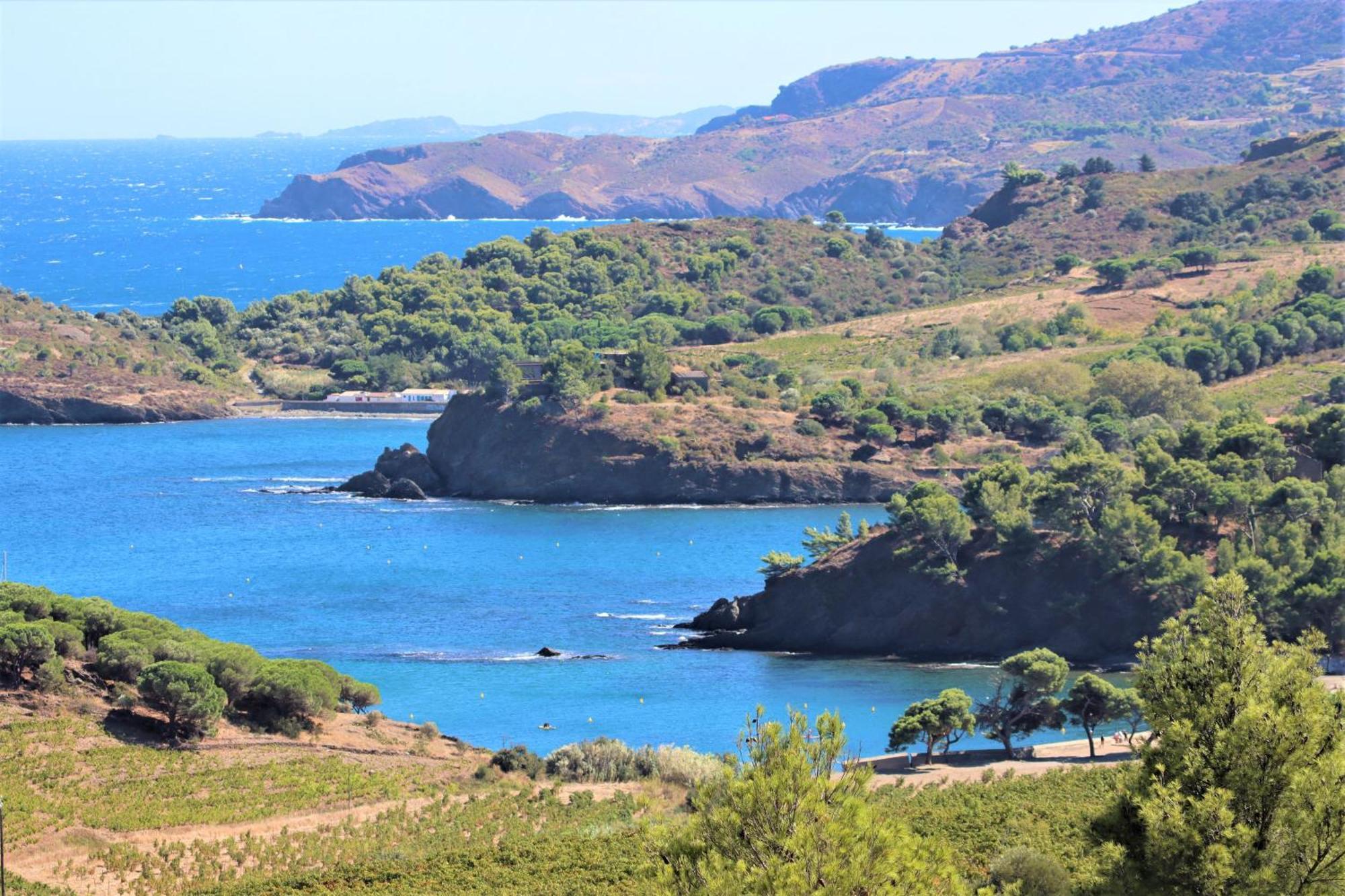 Happymobilhome Argeles-Sur-Mer -Plage A 500M- Camping 4 Etoiles Del Mar Buitenkant foto